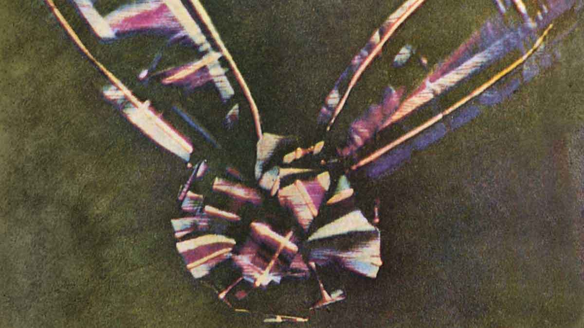 prima fotografie color