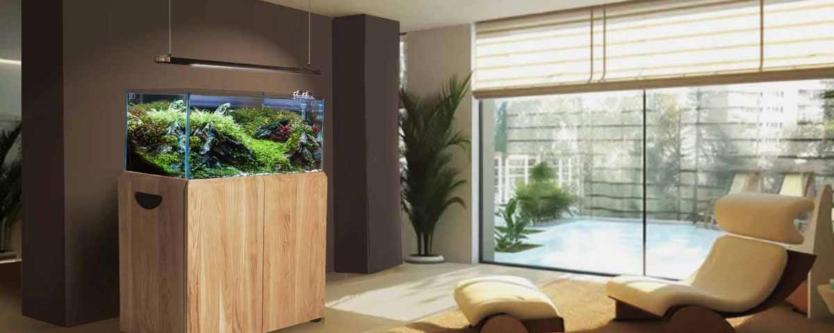 amanzi aquarium