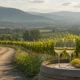 cramele din Fraser Valley