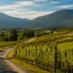 excursie Vancouver Fraser Valley