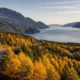 excursie Vancouver Whistler